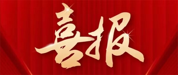 党建引领，谱写华彩新篇章